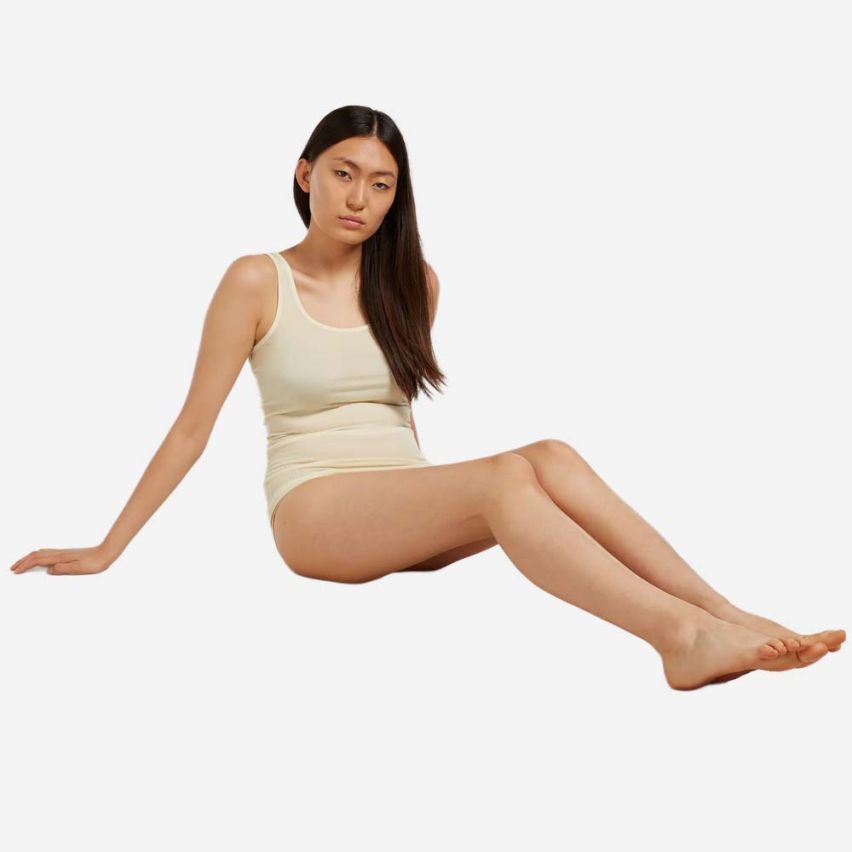icebreaker 150 Siren Merino Tanktop Damen undyed